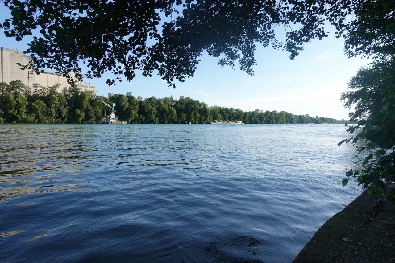 Zum Ziel Hotel Grenzach-Wyhlen Bei Basel Esterno foto